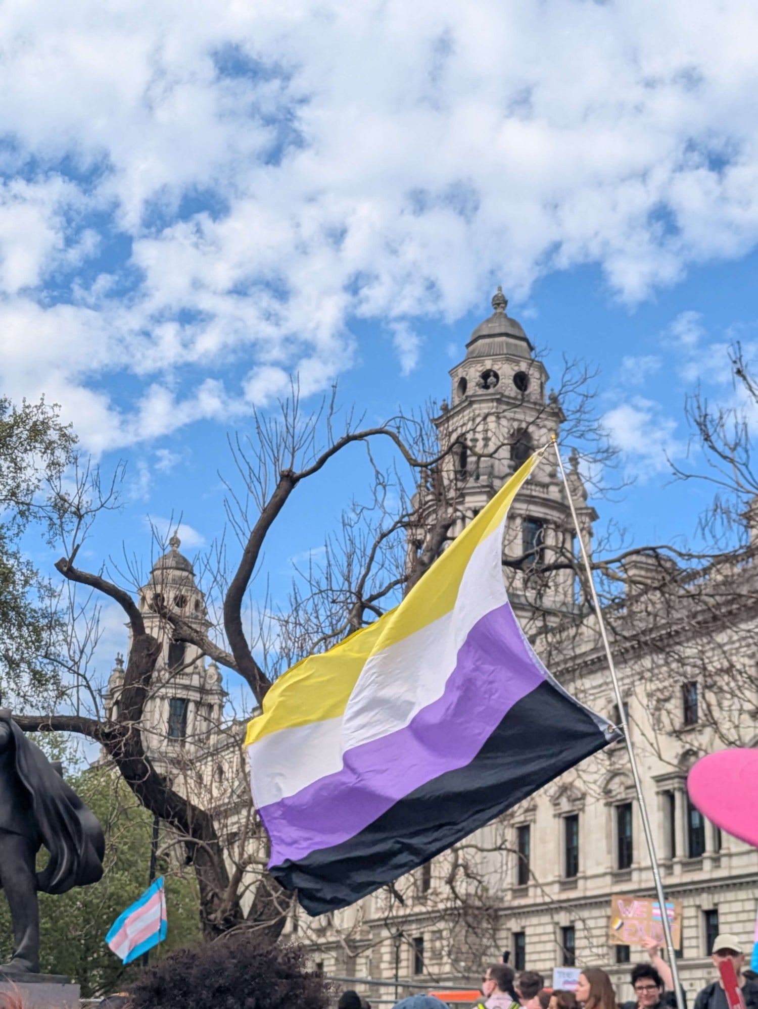 A non binary flag, being held up during a transgender rights protest.
